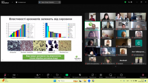 Снимок экрана 2024-10-28 113537