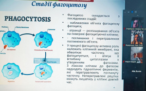 изображение_viber_2025-05-14_15-27-36-507