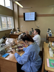 изображение_viber_2025-11-07_20-47-11-530