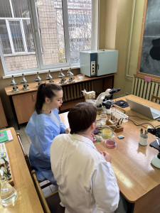 изображение_viber_2025-11-07_20-47-11-774