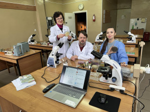 изображение_viber_2025-11-07_20-47-11-985