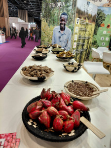 597862736_2548333772233482_7589041583435119858_n