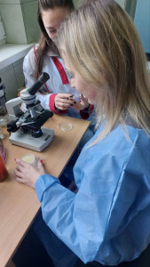 photo_2026-01-24_11-02-36