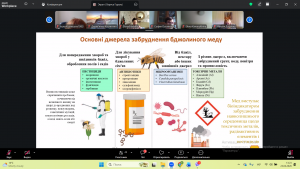 Снимок экрана 2026-04-23 132340